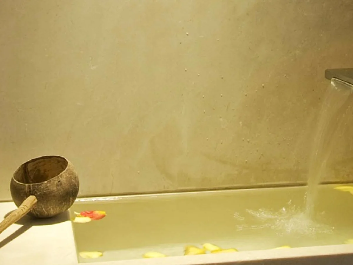 Ushvani spa gallery image